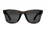 Ray-Ban - Wayfarer Reverse R0502S