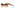 Tom Ford - Tallulah - TF1311