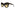 Tom Ford - Odette - TF1189