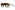 Tom Ford - Guillaume TF1208