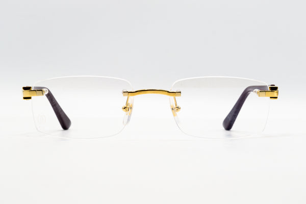 Cartier Core Range CT0607OJ