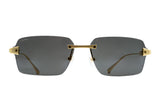 Cartier CT0652S - Exception