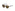 Tom Ford - DANTE TF834 52J