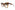 Fendi - FE4001OU 53F